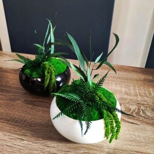 Doniczka czarna Ø 24 cm czarna misa do storczyków sukulentów kompozycji