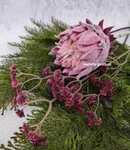 KARCZOCH sztuczny bordowy PROTEA królewska srebrnik kwiat Prometeusza 64 cm