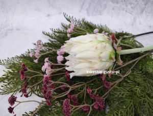 KARCZOCH sztuczny biały PROTEA królewska srebrnik kwiat Prometeusza 64 cm