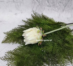 KARCZOCH sztuczny biały PROTEA królewska srebrnik kwiat Prometeusza 64 cm