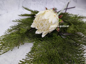 KARCZOCH sztuczny biały PROTEA królewska srebrnik kwiat Prometeusza 64 cm