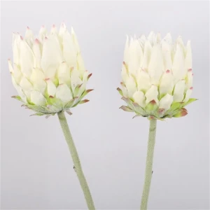 KARCZOCH sztuczny biały PROTEA królewska srebrnik kwiat Prometeusza 64 cm