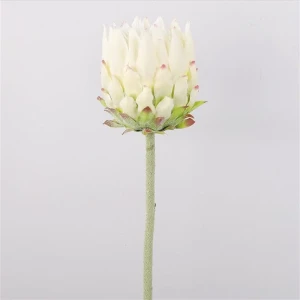 KARCZOCH sztuczny biały PROTEA królewska srebrnik kwiat Prometeusza 64 cm