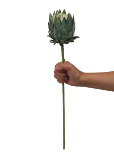 KARCZOCH sztuczny zielony PROTEA królewska srebrnik kwiat Prometeusza 64 cm
