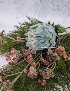 KARCZOCH sztuczny zielony PROTEA królewska srebrnik kwiat Prometeusza 64 cm