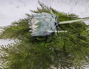 KARCZOCH sztuczny zielony PROTEA królewska srebrnik kwiat Prometeusza 64 cm