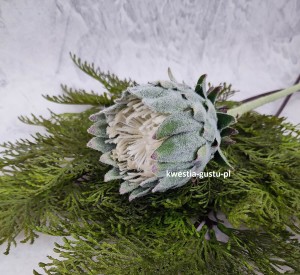 KARCZOCH sztuczny zielony PROTEA królewska srebrnik kwiat Prometeusza 64 cm