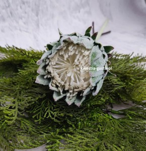 KARCZOCH sztuczny zielony PROTEA królewska srebrnik kwiat Prometeusza 64 cm