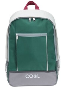 PLECAK TERMICZNY 20 L torba chłodząca + 2 wkłady