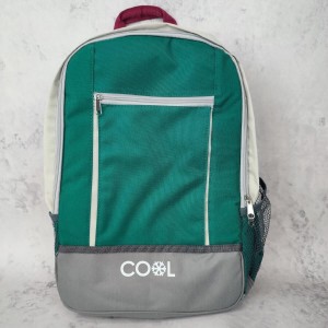 PLECAK TERMICZNY 20 L torba chłodząca + 2 wkłady
