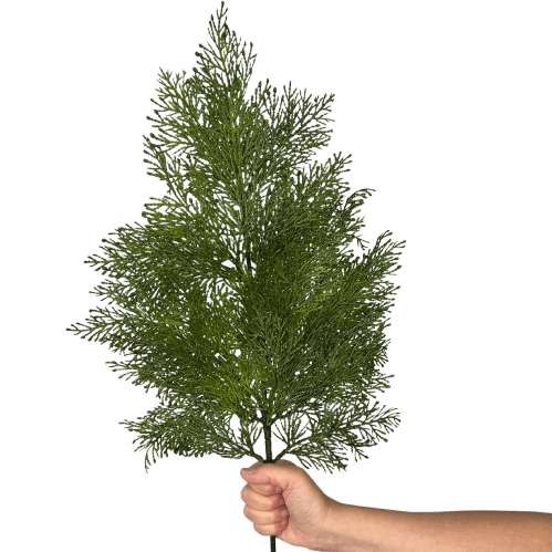 GAŁĄZKA TUJA  gęsta XXL 67 cm gałązki 