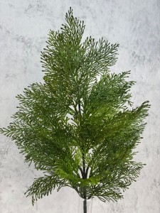 GAŁĄZKA TUJA  gęsta XXL 67 cm gałązki 