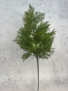 GAŁĄZKA TUJA  gęsta XXL 67 cm gałązki 