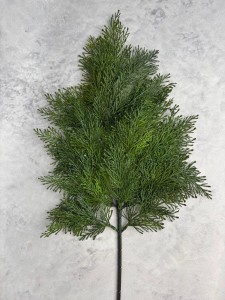 GAŁĄZKA TUJA  gęsta XXL 67 cm gałązki 