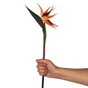 STRELICJA królewska RAJSKI PTAK sztuczny pomarańczowy gumowy 62cm PREMIUM jak żywy 