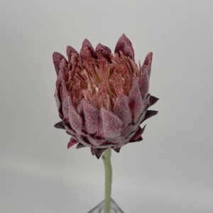 KARCZOCH sztuczny bordowy PROTEA królewska srebrnik kwiat Prometeusza 64 cm