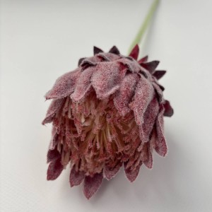 KARCZOCH sztuczny bordowy PROTEA królewska srebrnik kwiat Prometeusza 64 cm