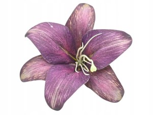 LILIA wyrobowa 25 cm fioletowa główka lilii duża x 6 szt.