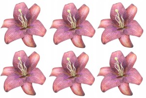 LILIA wyrobowa 25 cm fioletowa purple orange główka lilii duża 6 szt.
