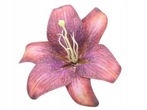 LILIA wyrobowa 25 cm fioletowa purple orange główka lilii duża 6 szt.