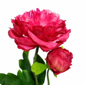 PIWONIA PEONIA róż ciemny amarant 60 cm gałązka z liśćmi