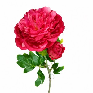 PIWONIA PEONIA róż ciemny amarant 60 cm gałązka z liśćmi