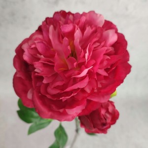 PIWONIA PEONIA róż ciemny amarant 60 cm gałązka z liśćmi