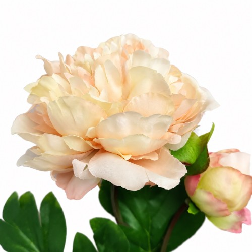 PIWONIA PEONIA biała 60 cm gałązka z liśćmi (1)
