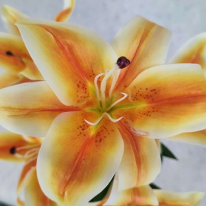 LILIA sztuczna POMARAŃCZOWA gumowana 45 cm bukiet 5 szt. REAL TOUCH