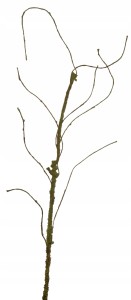 Gałąź sztuczna giętka gałązka pianka korzeń sztuczny 80 cm zielona