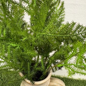 PAPROĆ bukiet 7 gałązek sztuczna paprotka asparagus 50 cm do wiązanek