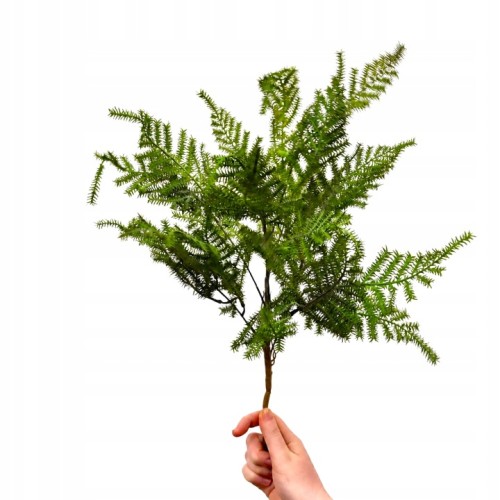 PAPROĆ bukiet 7 gałązek sztuczna paprotka asparagus 50 cm do wiązanek