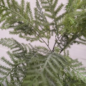 PAPROĆ bukiet 7 gałązek sztuczna paprotka asparagus 50 cm do wiązanek