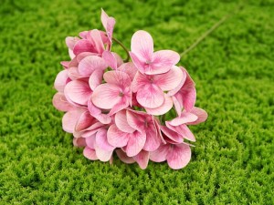 Hortensje sztuczne PIK kwiaty jak żywe REAL TOUCH PREMIUM hortensja 40 cm