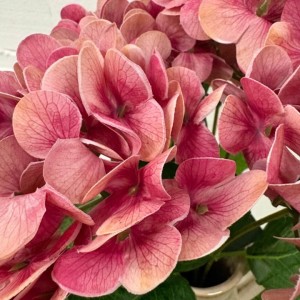 KWIATY SZTUCZNE HORTENSJA bukiet kwiatów hortensji 45cm REAL TOUCH stroik