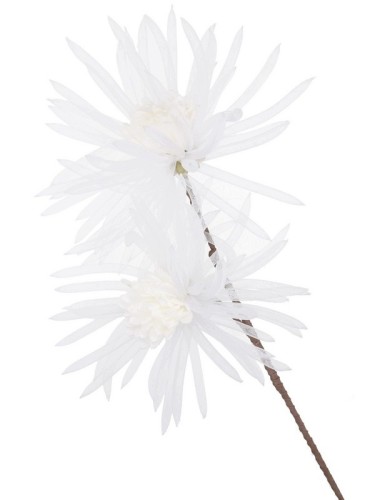 MAGNOLIA BIAŁA h 80 cm duży biały kwiat średnica 20 cm duże białe kwiaty