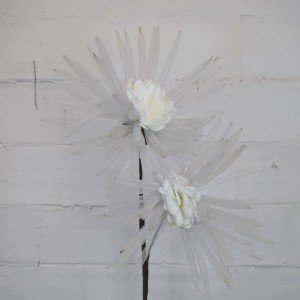 MAGNOLIA BIAŁA h 80 cm duży biały kwiat średnica 20 cm duże białe kwiaty