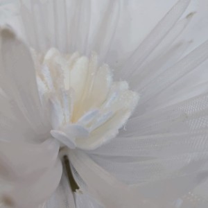 MAGNOLIA BIAŁA h 80 cm duży biały kwiat średnica 20 cm duże białe kwiaty