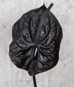 ANTURIUM gumowe czarne 70 cm czarne kwiaty sztuczne