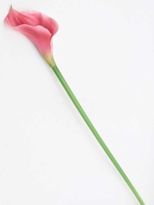 KALIA gumowa silikon sztuczna kalla różowa 70 cm NIE BARWI
