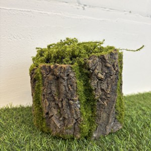 Pień Omszały Baza Do Stroików z Naturalnej Kory 19 cm mech hiszpański