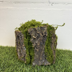 Pień Omszały Baza Do Stroików z Naturalnej Kory 19 cm mech hiszpański