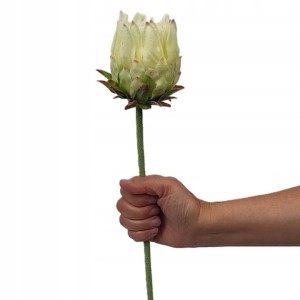 KARCZOCH biały sztuczny PROTEA królewska srebrnik kwiat Prometeusza 64 cm