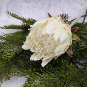 KARCZOCH biały sztuczny PROTEA królewska srebrnik kwiat Prometeusza 64 cm