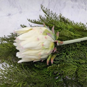KARCZOCH biały sztuczny PROTEA królewska srebrnik kwiat Prometeusza 64 cm