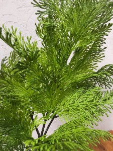 GAŁĄZKA TUJA  gęsta XXL 67 cm gałązki 